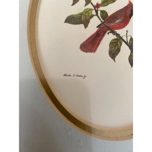 Vintage Framed Cardinal Bird Print By Charles T. Stuart Jr. In Ornate Green Gold - Picture 3 of 3